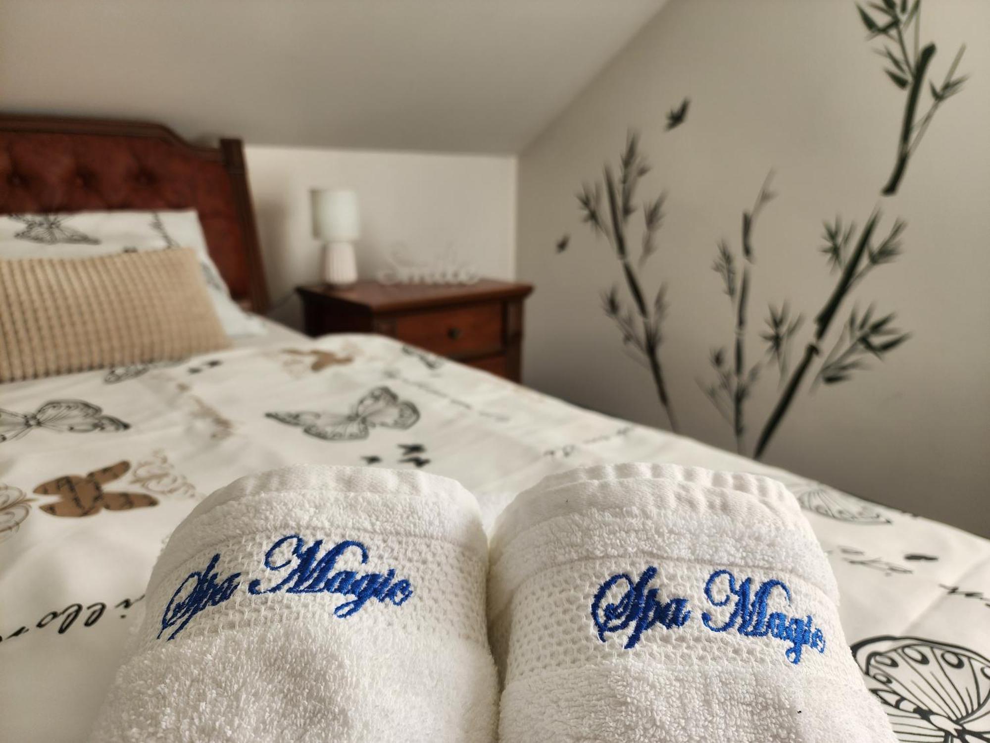Villa Spa Magic Tuheljske Toplice Extérieur photo